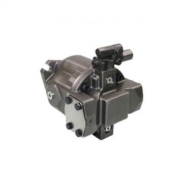 Rexroth A11vo190 A11vo260 Hydraulic Piston Pump Parts (Repaire Kit / Rotary Group)
